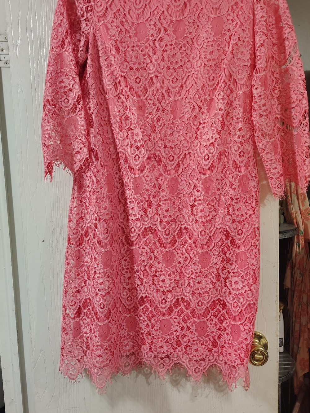 Lace Midi Dress in Coral Pink